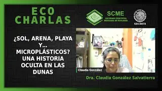 &iquest;Sol, arena, playa y&hellip; micropl&aacute;sticos? Una historia oculta en las dunas