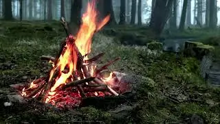 🔥✨ Campfire Serenity | Deep Relaxation by the Fire | Calming Crackling Sounds ✨🔥