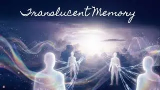 Translucent Memory @Refael-Ribo 