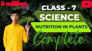 Class 7th Science Nutrition in animals complete chapter in Big Brain Education 