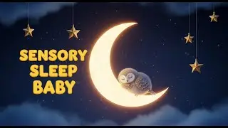 Soothing Bedtime Lullaby for Toddlers &bull; Cute Baby Owl Sleep Music &bull; Relaxing Sensory