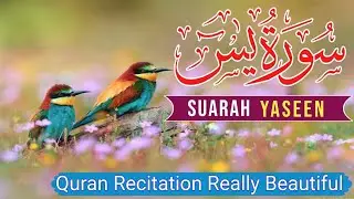 036Surah Yasin(Yaseen) | Full With Arabic | Beautiful recitation|یس سورہ
