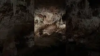(&deg;ロ&deg;) More WILD BEATS above ☝️🔥   #junglemusic #idm #musicvideo #aphextwin #caving