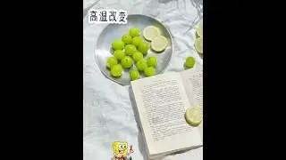 #小说推荐