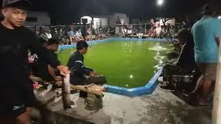 Galatama ikan lele Kp. Dirgantara Ngrawan Wonodadi Rabu 14 januari 2026 Tiket 100rb untuk 2x show
