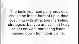 Internet Network Marketing Success
