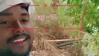 Mindset Day - 10 #mine vlog @debashishpradhan4988 💪💪💪💪💪❤️💪💪💪💪 