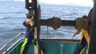 Seine Fishing