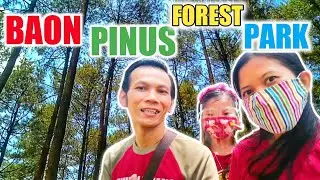 Baon Pinus Forest Park I Hutan Pinus dekat Semarang |  Piknik Murah Meriah