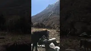 #Dharmasala #Nachai #dharapani #Manang #mountainview #travel #Nepal🇳🇵