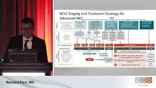 Immunotherapy in HCC Improving Outcomes Across the Disease Continuum