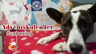 Pets Deli Adventskalender für Hunde 2020
