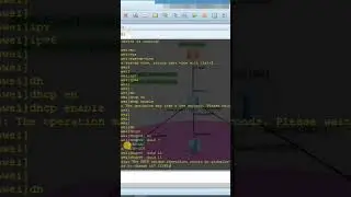 How tp Configure DHCPv6 in IPv6 on eNSP Huawei