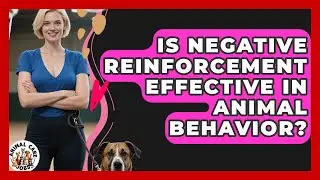 Is Negative Reinforcement Effective In Animal Behavior? - Animal Care Jobs