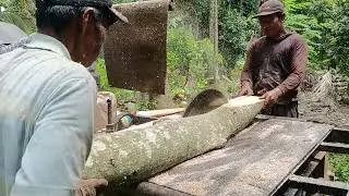 An Amazing Masterpiece, The Skill of Cutting Logs into Small Pieces 