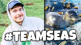 MrBeast Wants YOU To Save The Ocean #TeamSeas
