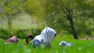 دایکندی فصل بهار 