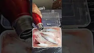 Frozen Fish? Defrost in minutes 💧❗️Quick kitchen Hack