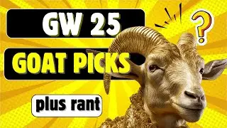 FPL GW 25 Два абсолютно лучших выбора