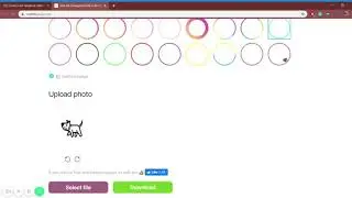 Add color border to Instagram profile picture | UniLink