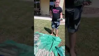 DIY Dove Tree (Part 2)