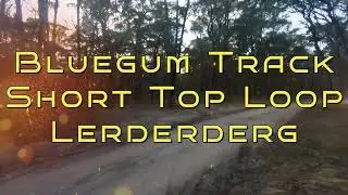 Bluegum Track Top Short Loop.