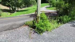 2024,08 06 Property Flight 4