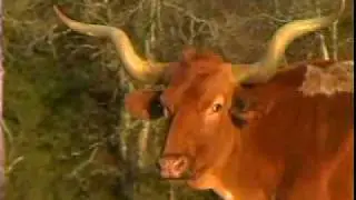 John Soules Foods Beef