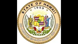 Hawaii missing persons statistics & alert programs