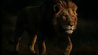 Balln Coach Tribute -  Balln Token - Heart of a Lion!