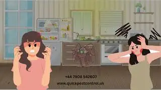 Quick Pest Control London | Professional Cockroach Removal & Pest Control Services
