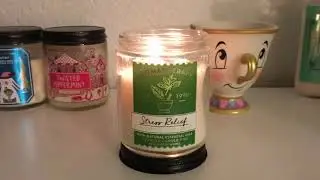 Bath and Body Works Aromatherapy Stress Relief Eucalyptus Spearmint Candle review