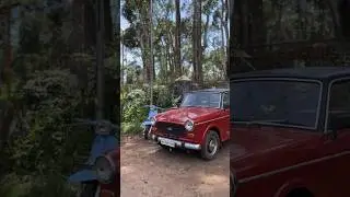 Premier Padmini ❤️&zwj;🔥🌻 || vijay super scooter 💙 #shorts #vijaysuper #fiat #premierpadmini #viral