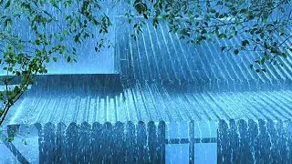 No Ads Rain Sounds for Sleeping &ndash; Gentle Tin Roof Rain Echo for Quiet Mind & Deep Sleep