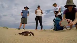 Garden Route Trail adventure activities.