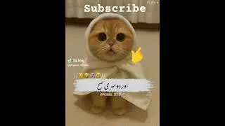 #indip #intnews #iunlocked #qgvspz #pakturkfriendship #pvfacts #zxcvbnm #dufestivals #duffel #😆😆😆😆😆😆