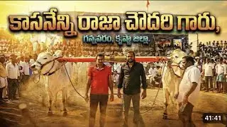 Kasanneni Raja New bulls 