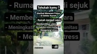 tahukah kamu manfaat menanam pohon di sekitar rumah ?