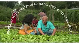 Carbon 64, to increase organic carbon of soil