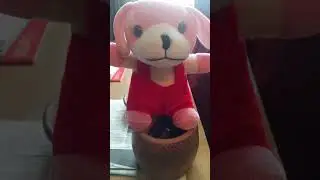 ►ЧУДО ГОРШОК СИМ СИМ 🤣🤣🤣my life