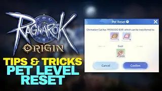 Ragnarok Origin Pet Level Reset and Pet Training Diary