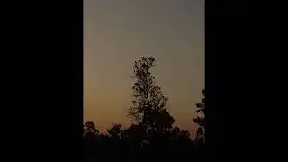 Type Beat  - 