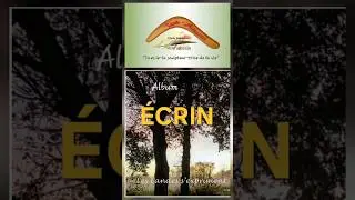 &Eacute;crin@incaincalo #contis #contisplage #goretti #trending #followme #trendingshorts #pourtoi #inca