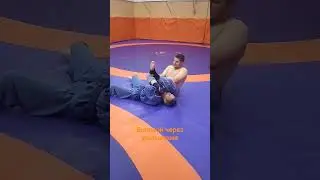 Judo Armbar infringement | Дзюдо рычаг локтя ущемление #дзюдо #judo #mma #bjj #ufc #armbar