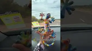 #Souvenirs #australia  #ytshortvideo