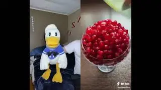 Donald Duck&rsquo;s screams The full saga TikTok (archive)