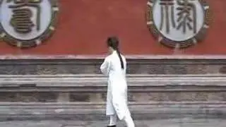 China Tai Chi - Wudang Kungfu | 28-Form Wudang Taiji 武当太极28式