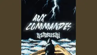 Aux Commandes
