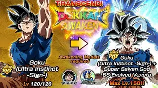 DOKKAN LEAKED LR UI GOKU + SSBE VEGETA TYPE, ARTWORKS & MEDALS!!!!!! Dragon Ball Z Dokkan Battle