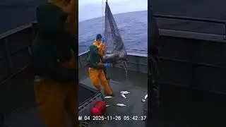 #ShockingDiscovery #SeaLegends #OceanMyths #FoundFootage #ScaryOcean #RealisticVFX #MermaidVideo